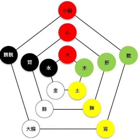 金木水火土 心肝脾肺腎|搞懂中醫五行陰陽論！一張表看懂五行與五臟的關係